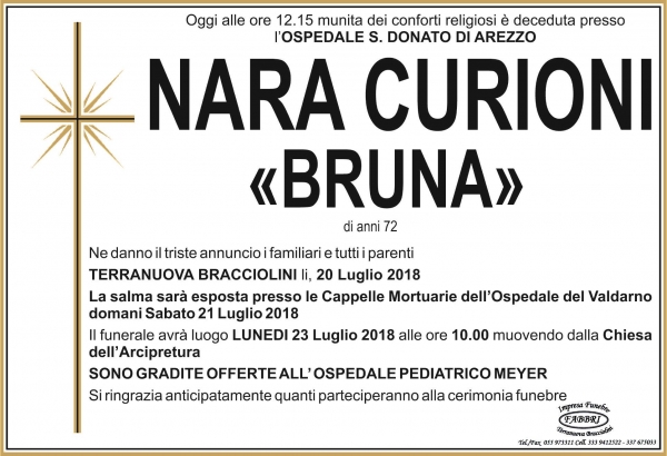Nara Curioni