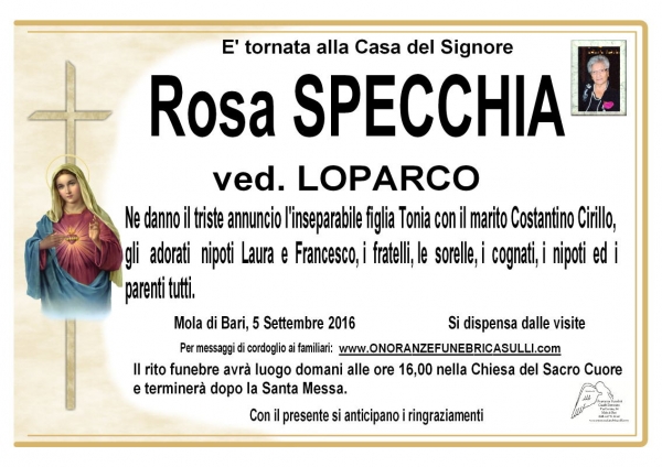 Rosa Specchia